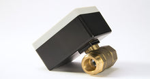 Load image into Gallery viewer, SETflow™ 100 Smart Valve